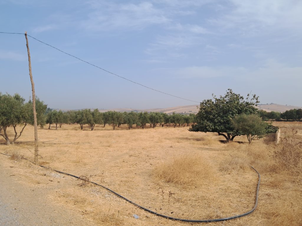 لعهابؤنخ