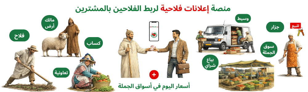 مالك أرض